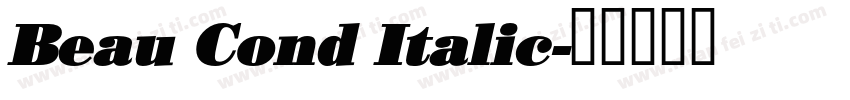 Beau Cond Italic字体转换